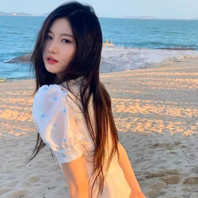 树篱女巫