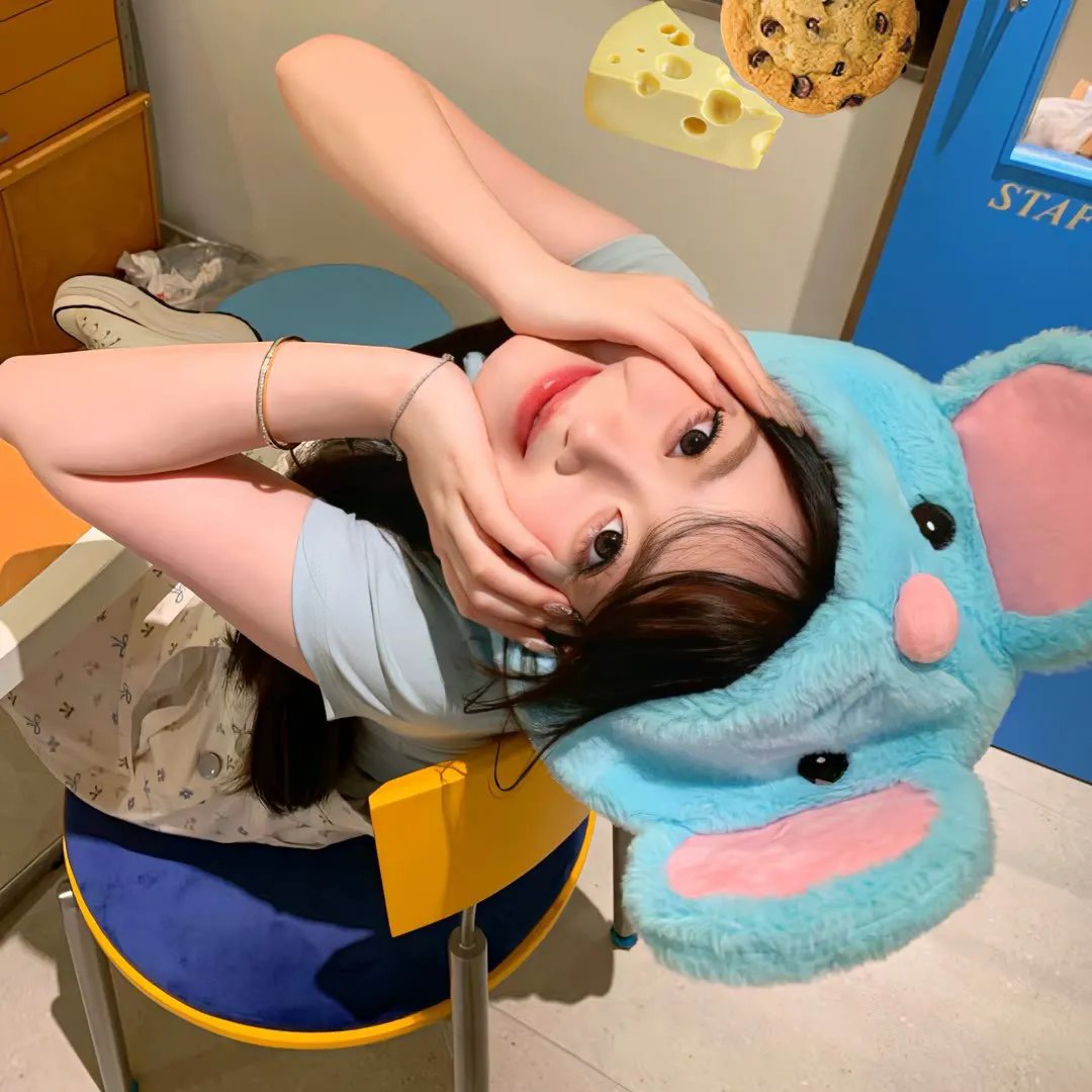 来自美国的莫里斯
