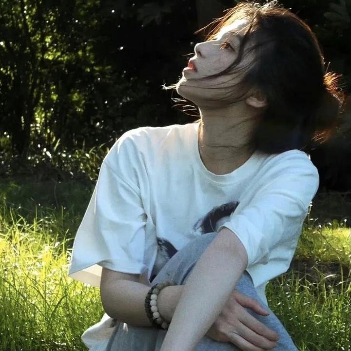 莲花仙子